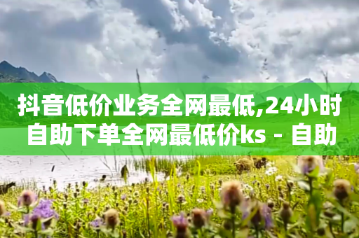 抖音低价业务全网最低,24小时自助下单全网最低价ks - 自助云商城快手下单 - 全网业务自助下单商城