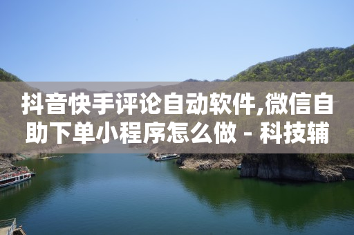 抖音快手评论自动软件,微信自助下单小程序怎么做 - 科技辅助卡盟发卡网 - 抖音充值入口