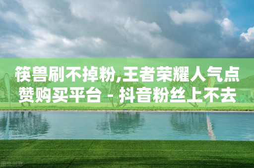 筷兽刷不掉粉,王者荣耀人气点赞购买平台 - 抖音粉丝上不去是什么原因 - 一元抖音点赞怎么买的