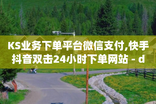 KS业务下单平台微信支付,快手抖音双击24小时下单网站 - dy自助服务平台 - 抖音一万播放1块钱