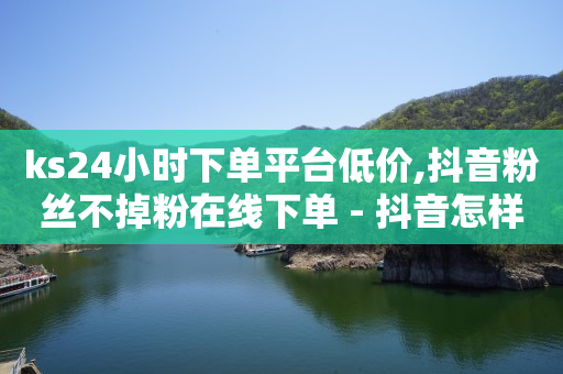 ks24小时下单平台低价,抖音粉丝不掉粉在线下单 - 抖音怎样出钱粉丝上1000粉丝 - 网红助手24小时免费下单