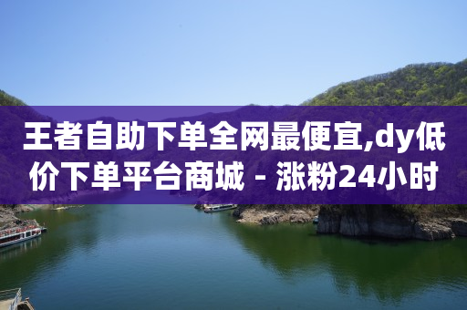 王者自助下单全网最便宜,dy低价下单平台商城 - 涨粉24小时下单 - 梓豪业务平台登录入口