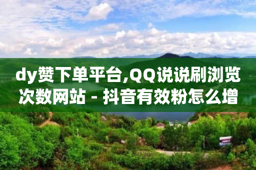 dy赞下单平台,QQ说说刷浏览次数网站 - 抖音有效粉怎么增加 - qq赞0.1元一万