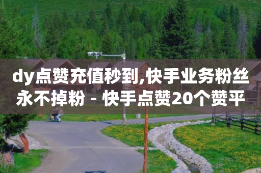 dy点赞充值秒到,快手业务粉丝永不掉粉 - 快手点赞20个赞平台微信付钱 - 子潇网络自助下单的链接