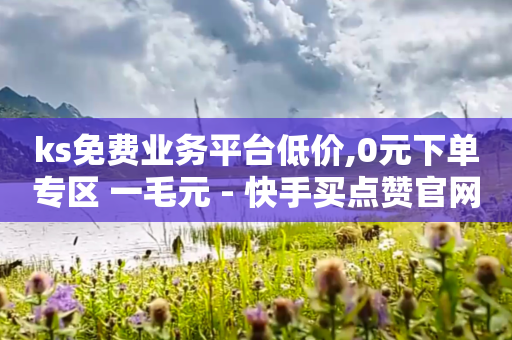 ks免费业务平台低价,0元下单专区 一毛元 - 快手买点赞官网 - 哔哩业务自助网站