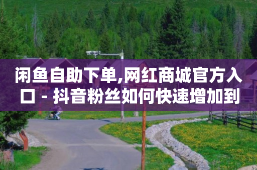 闲鱼自助下单,网红商城官方入口 - 抖音粉丝如何快速增加到1000 - 抖音低价下单网站