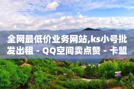 全网最低价业务网站,ks小号批发出租 - QQ空间卖点赞 - 卡盟刷svip永久