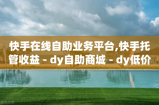 快手在线自助业务平台,快手托管收益 - dy自助商城 - dy低价业务平台