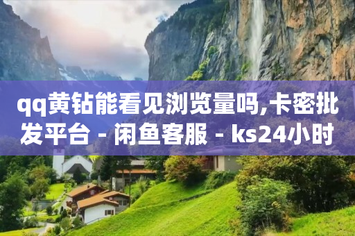 qq黄钻能看见浏览量吗,卡密批发平台 - 闲鱼客服 - ks24小时自助服务平台