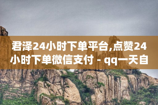 君泽24小时下单平台,点赞24小时下单微信支付 - qq一天自动引流5万人 - 九梦业务下单