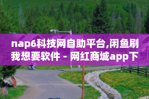 nap6科技网自助平台,闲鱼刷我想要软件 - 网红商城app下载安装 - QQ业务中心