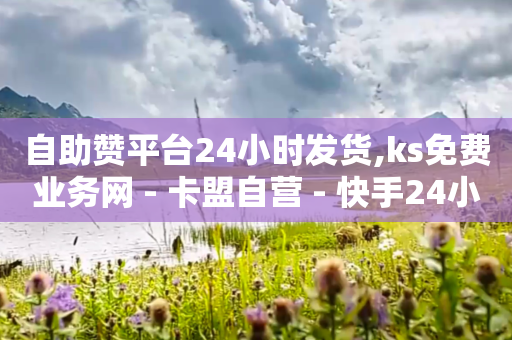 自助赞平台24小时发货,ks免费业务网 - 卡盟自营 - 快手24小时自助免费下单软件