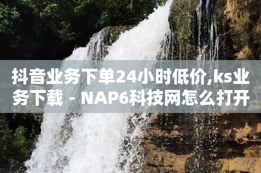 抖音业务下单24小时低价,ks业务下载 - NAP6科技网怎么打开 - 快手评论自助平台有哪些