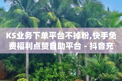 KS业务下单平台不掉粉,快手免费福利点赞自助平台 - 抖音充值官方充值链接 - qq自助平台下单