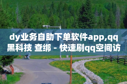 dy业务自助下单软件app,qq黑科技 查绑 - 快速刷qq空间访客 - 今日头条万粉号可以卖多少钱