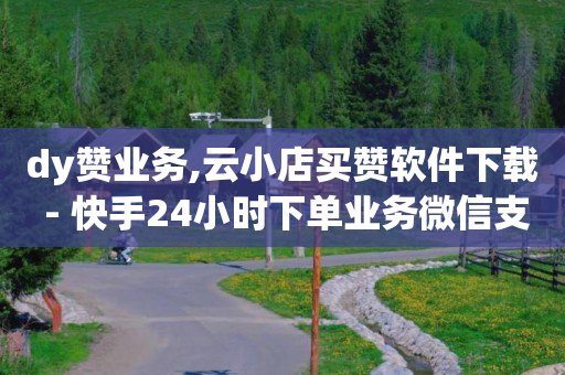 dy赞业务,云小店买赞软件下载 - 快手24小时下单业务微信支付 - qq批发自动发货网