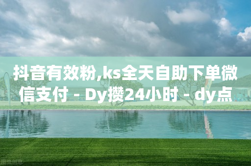 抖音有效粉,ks全天自助下单微信支付 - Dy攒24小时 - dy点赞秒到账