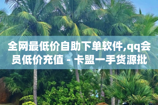 全网最低价自助下单软件,qq会员低价充值 - 卡盟一手货源批发发卡网站 - 免费刷QQ空间访客量的网站