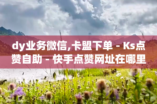 dy业务微信,卡盟下单 - Ks点赞自助 - 快手点赞网址在哪里找