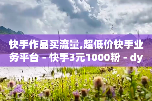 快手作品买流量,超低价快手业务平台 - 快手3元1000粉 - dy业务推广