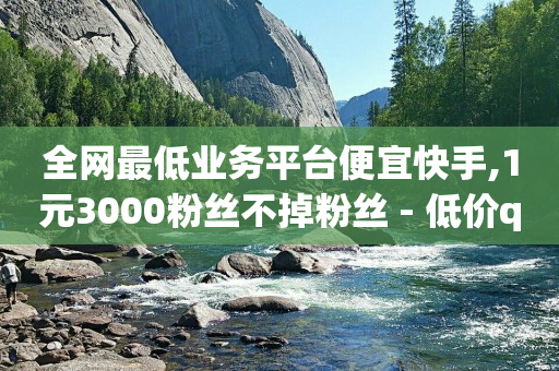 全网最低业务平台便宜快手,1元3000粉丝不掉粉丝 - 低价qq空间访客 - 抖音充值1:10