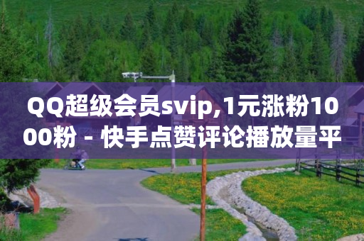 QQ超级会员svip,1元涨粉1000粉 - 快手点赞评论播放量平台 - 全网最低价稳定卡盟