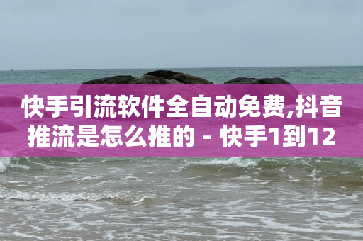 快手引流软件全自动免费,抖音推流是怎么推的 - 快手1到120级明细表图片 - 免费QQ空间说说赞软件