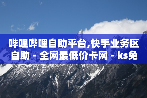 哔哩哔哩自助平台,快手业务区自助 - 全网最低价卡网 - ks免费业务平台便宜