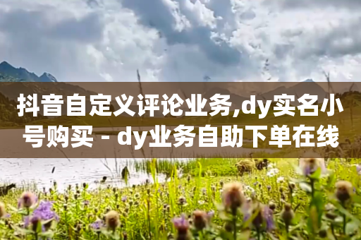 抖音自定义评论业务,dy实名小号购买 - dy业务自助下单在线 - 一分钱100快手赞