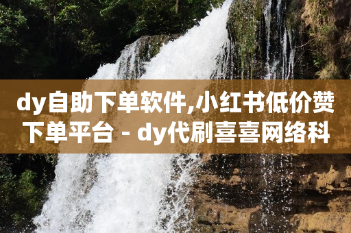 dy自助下单软件,小红书低价赞下单平台 - dy代刷喜喜网络科技 - 快手24小时100赞免费下单