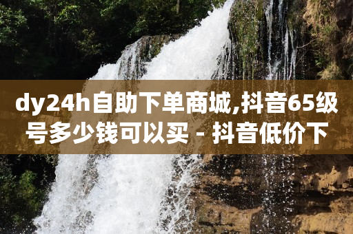 dy24h自助下单商城,抖音65级号多少钱可以买 - 抖音低价下单网站 - 充值抖音钻石网站