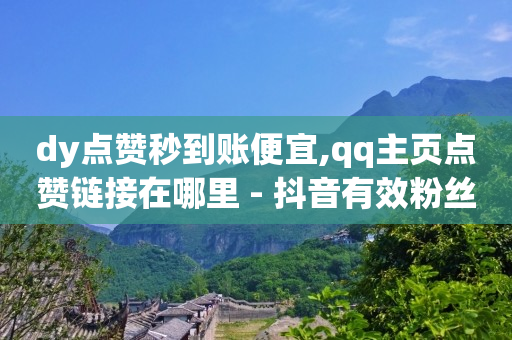 dy点赞秒到账便宜,qq主页点赞链接在哪里 - 抖音有效粉丝数每天几点更新 - qq音乐访客量购买平台