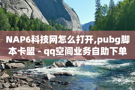 NAP6科技网怎么打开,pubg脚本卡盟 - qq空间业务自助下单是什么 - 快手作品点赞评论神器