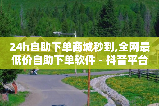 24h自助下单商城秒到,全网最低价自助下单软件 - 抖音平台自助服务 - 快手下单自助