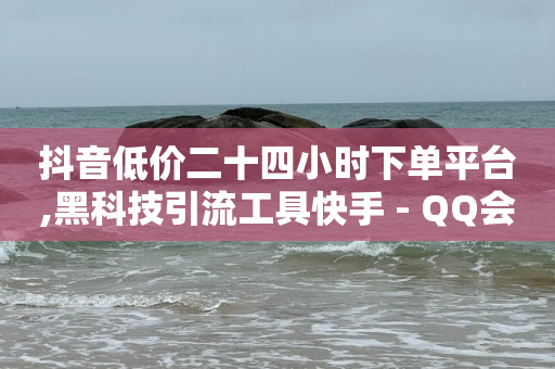 抖音低价二十四小时下单平台,黑科技引流工具快手 - QQ会员卡盟网站 - QQ空间访客购买渠道