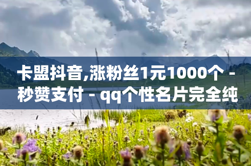 卡盟抖音,涨粉丝1元1000个 - 秒赞支付 - qq个性名片完全纯白