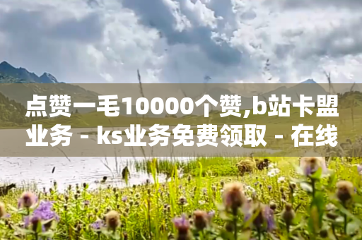 点赞一毛10000个赞,b站卡盟业务 - ks业务免费领取 - 在线卡盟平台