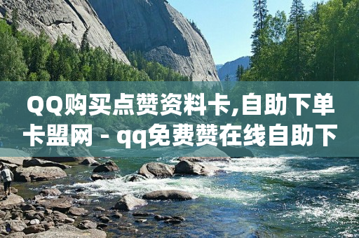 QQ购买点赞资料卡,自助下单卡盟网 - qq免费赞在线自助下单网站 - 黑科技免费开户口qq