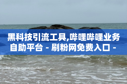 黑科技引流工具,哔哩哔哩业务自助平台 - 刷粉网免费入口 - 点赞评论任务接单大厅