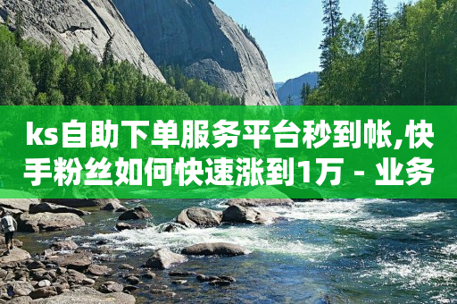 ks自助下单服务平台秒到帐,快手粉丝如何快速涨到1万 - 业务网站购买 - 免费业务自助下单在线下单24小时24小时