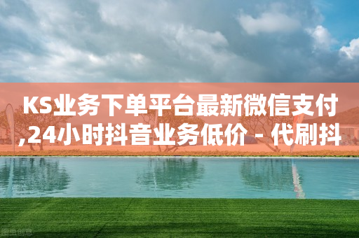 KS业务下单平台最新微信支付,24小时抖音业务低价 - 代刷抖音1元10万粉可靠吗 - 业务自助下单网站官网