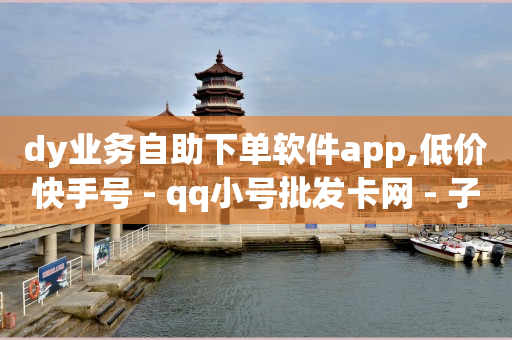 dy业务自助下单软件app,低价快手号 - qq小号批发卡网 - 子潇网络老马低价下单