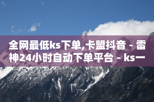 全网最低ks下单,卡盟抖音 - 雷神24小时自动下单平台 - ks一元1000个赞秒到软件