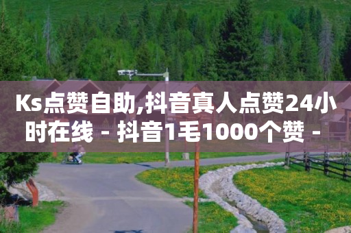 Ks点赞自助,抖音真人点赞24小时在线 - 抖音1毛1000个赞 - 快手一元1w粉丝不掉粉的原因