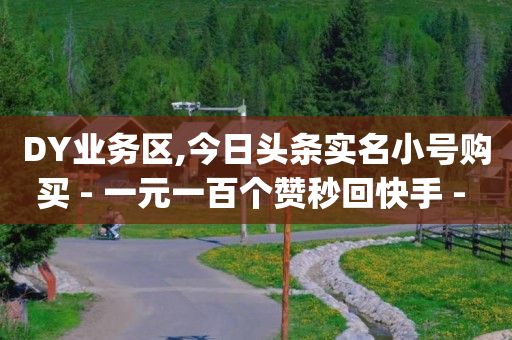 DY业务区,今日头条实名小号购买 - 一元一百个赞秒回快手 - qq主页点赞自助下单