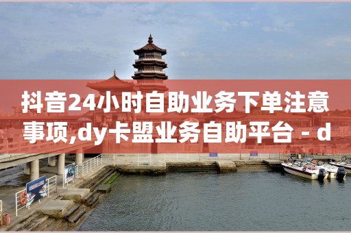 抖音24小时自助业务下单注意事项,dy卡盟业务自助平台 - dy业务推广 - 王者自助下单全网最便宜