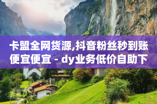 卡盟全网货源,抖音粉丝秒到账便宜便宜 - dy业务低价自助下单软件 - 抖音评论放单