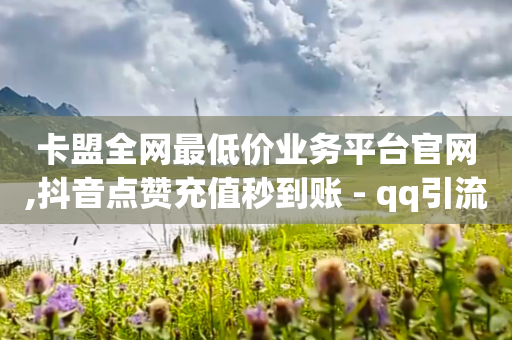 卡盟全网最低价业务平台官网,抖音点赞充值秒到账 - qq引流推广机器人官网 - 24小时自助下单全网最低价