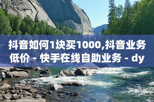 抖音如何1块买1000,抖音业务低价 - 快手在线自助业务 - dy下单赞