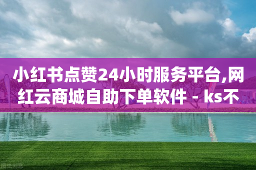 小红书点赞24小时服务平台,网红云商城自助下单软件 - ks不掉赞 - dy业务低价自助下单软件